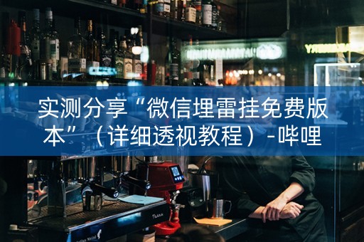 实测分享“微信埋雷挂免费版本”（详细透视教程）-哔哩哔哩