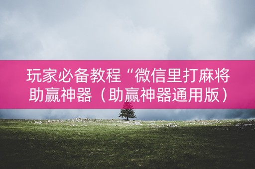 玩家必备教程“微信里打麻将助赢神器（助赢神器通用版）
