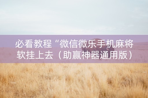 必看教程“微信微乐手机麻将软挂上去（助赢神器通用版）
