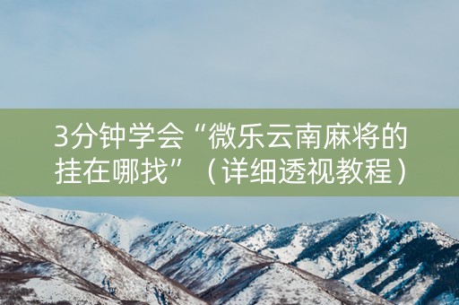 3分钟学会“微乐云南麻将的挂在哪找”（详细透视教程）-哔哩哔哩