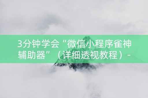 3分钟学会“微信小程序雀神辅助器”（详细透视教程）-哔哩哔哩