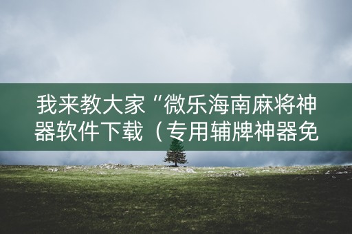我来教大家“微乐海南麻将神器软件下载（专用辅牌神器免安装）