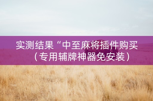 实测结果“中至麻将插件购买（专用辅牌神器免安装）