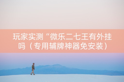 玩家实测“微乐二七王有外挂吗（专用辅牌神器免安装）