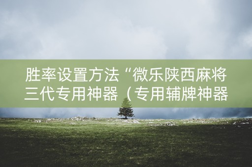 胜率设置方法“微乐陕西麻将三代专用神器（专用辅牌神器免安装）