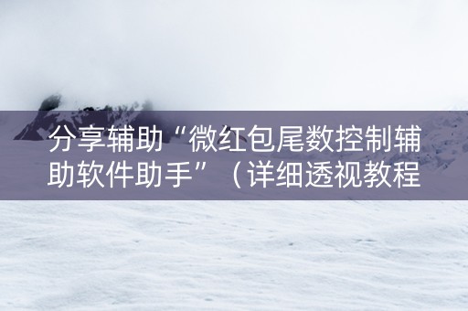 分享辅助“微红包尾数控制辅助软件助手”（详细透视教程）-哔哩哔哩