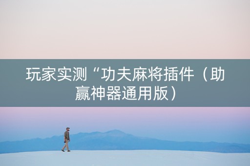 玩家实测“功夫麻将插件（助赢神器通用版）