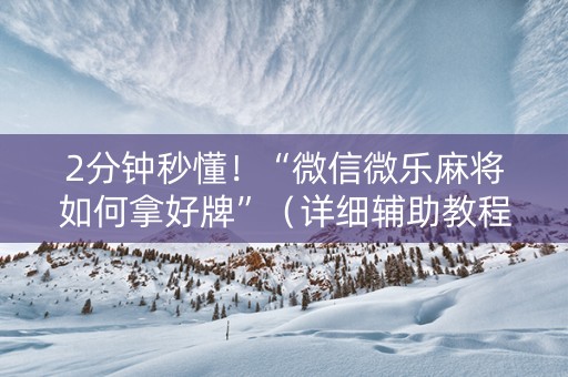 2分钟秒懂！“微信微乐麻将如何拿好牌”（详细辅助教程）-哔哩哔哩