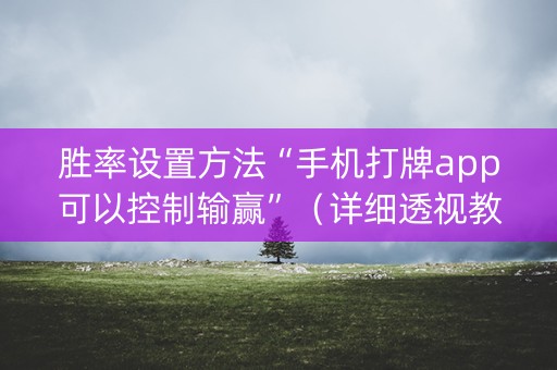 胜率设置方法“手机打牌app可以控制输赢”（详细透视教程）-哔哩哔哩