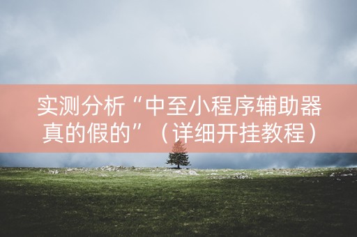 实测分析“中至小程序辅助器真的假的”（详细开挂教程）-哔哩哔哩