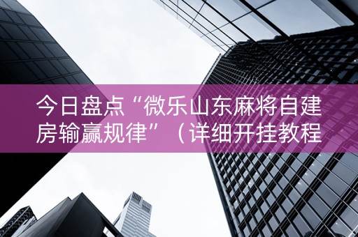 今日盘点“微乐山东麻将自建房输赢规律”（详细开挂教程）-哔哩哔哩