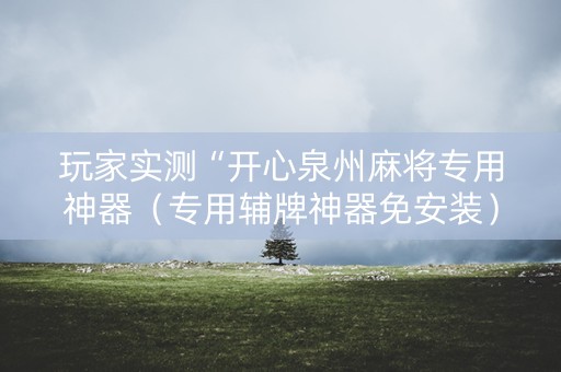 玩家实测“开心泉州麻将专用神器（专用辅牌神器免安装）