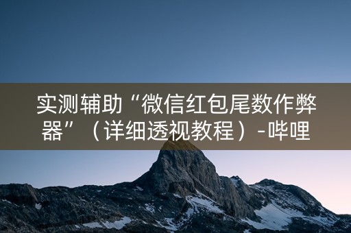 实测辅助“微信红包尾数作弊器”（详细透视教程）-哔哩哔哩