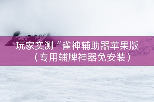 玩家实测“雀神辅助器苹果版（专用辅牌神器免安装）