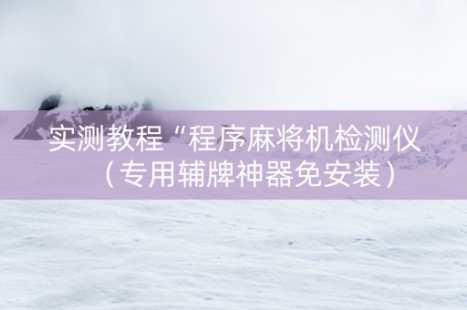 实测教程“程序麻将机检测仪（专用辅牌神器免安装）