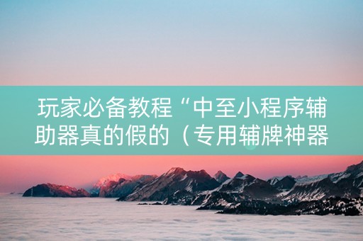 玩家必备教程“中至小程序辅助器真的假的（专用辅牌神器免安装）