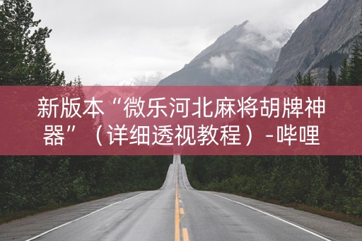 新版本“微乐河北麻将胡牌神器”（详细透视教程）-哔哩哔哩