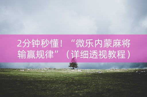 2分钟秒懂！“微乐内蒙麻将输赢规律”（详细透视教程）-哔哩哔哩