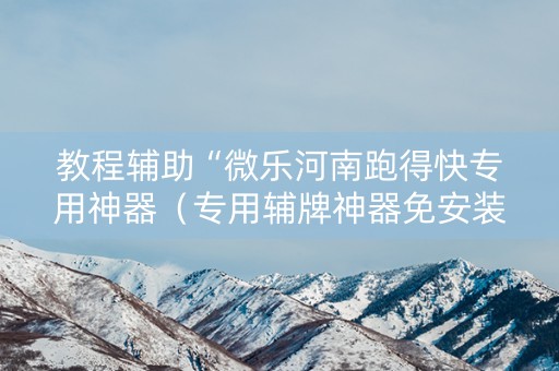 教程辅助“微乐河南跑得快专用神器（专用辅牌神器免安装）