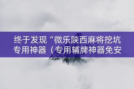 终于发现“微乐陕西麻将挖坑专用神器（专用辅牌神器免安装）