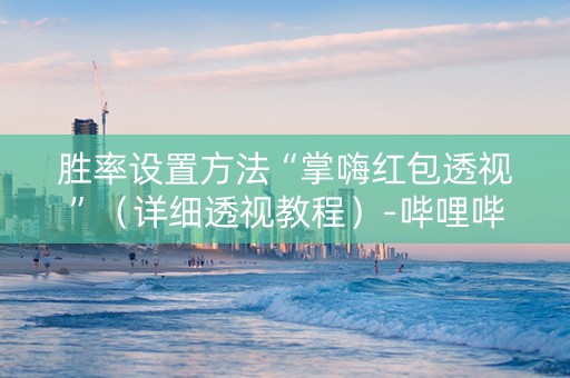 胜率设置方法“掌嗨红包透视”（详细透视教程）-哔哩哔哩