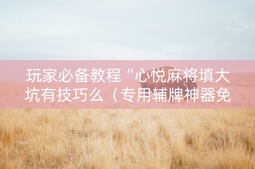 玩家必备教程“心悦麻将填大坑有技巧么（专用辅牌神器免安装）