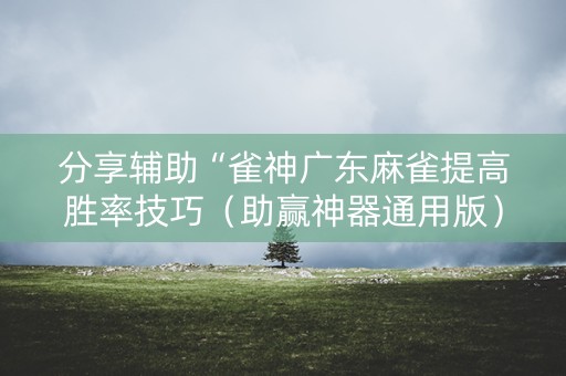 分享辅助“雀神广东麻雀提高胜率技巧（助赢神器通用版）