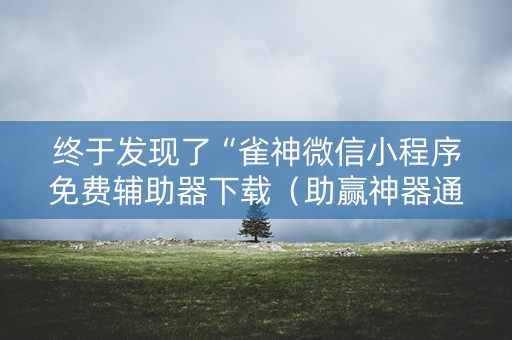 终于发现了“雀神微信小程序免费辅助器下载（助赢神器通用版）