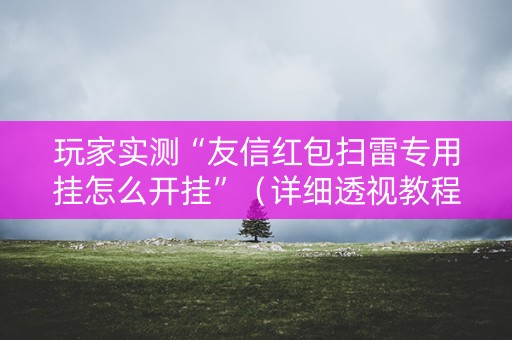 玩家实测“友信红包扫雷专用挂怎么开挂”（详细透视教程）-哔哩哔哩