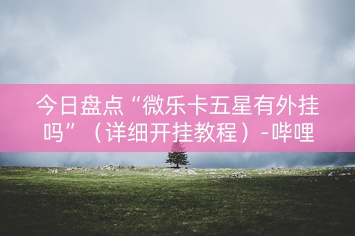 今日盘点“微乐卡五星有外挂吗”（详细开挂教程）-哔哩哔哩