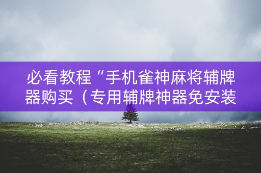 必看教程“手机雀神麻将辅牌器购买（专用辅牌神器免安装）