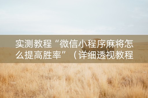 实测教程“微信小程序麻将怎么提高胜率”（详细透视教程）-哔哩哔哩