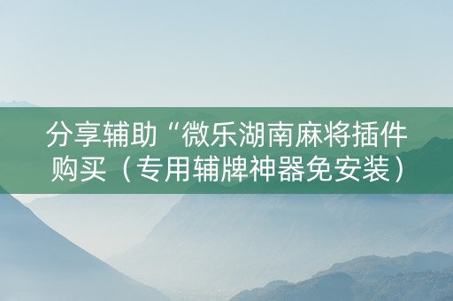 分享辅助“微乐湖南麻将插件购买（专用辅牌神器免安装）