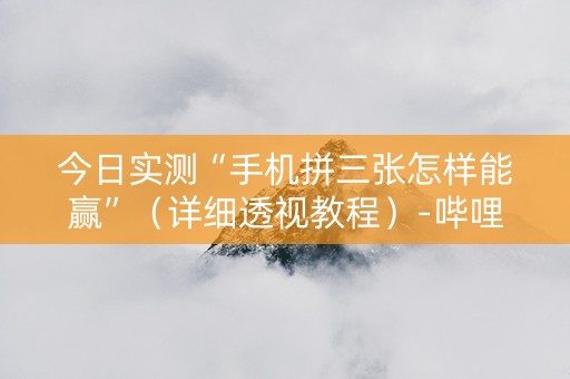 今日实测“手机拼三张怎样能赢”（详细透视教程）-哔哩哔哩