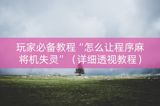 玩家必备教程“怎么让程序麻将机失灵”（详细透视教程）-哔哩哔哩