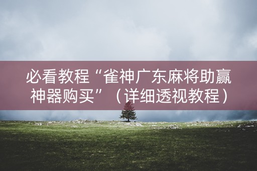 必看教程“雀神广东麻将助赢神器购买”（详细透视教程）-哔哩哔哩