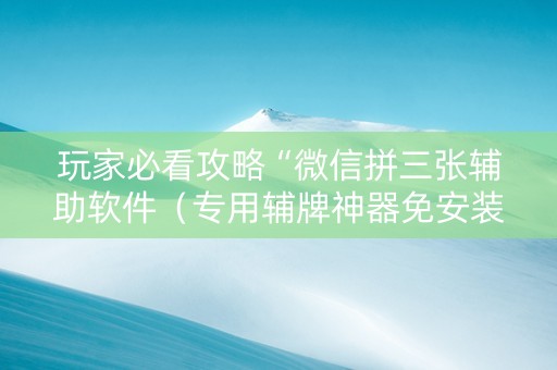 玩家必看攻略“微信拼三张辅助软件（专用辅牌神器免安装）