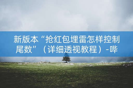 新版本“抢红包埋雷怎样控制尾数”（详细透视教程）-哔哩哔哩