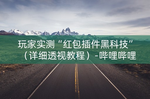 玩家实测“红包插件黑科技”（详细透视教程）-哔哩哔哩