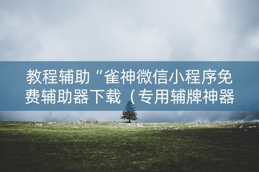 教程辅助“雀神微信小程序免费辅助器下载（专用辅牌神器免安装）