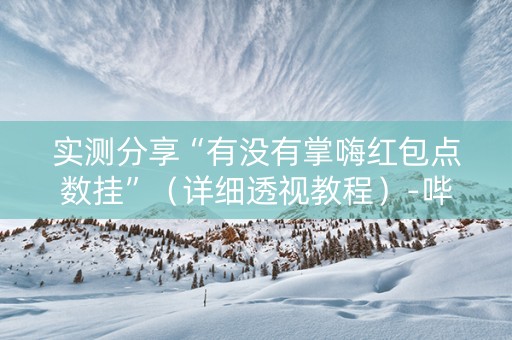 实测分享“有没有掌嗨红包点数挂”（详细透视教程）-哔哩哔哩