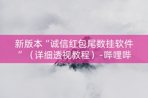 新版本“诚信红包尾数挂软件”（详细透视教程）-哔哩哔哩