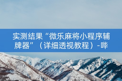 实测结果“微乐麻将小程序辅牌器”（详细透视教程）-哔哩哔哩