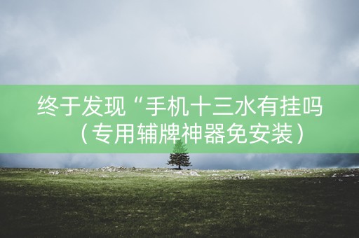 终于发现“手机十三水有挂吗（专用辅牌神器免安装）