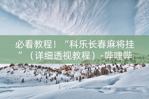 必看教程！“科乐长春麻将挂”（详细透视教程）-哔哩哔哩