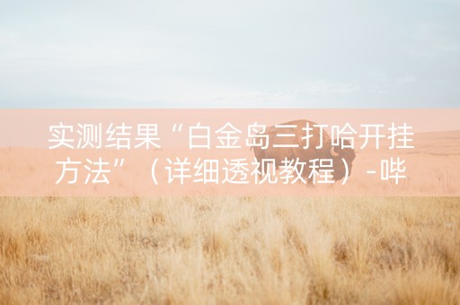 实测结果“白金岛三打哈开挂方法”（详细透视教程）-哔哩哔哩
