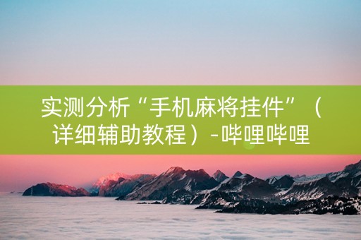 实测分析“手机麻将挂件”（详细辅助教程）-哔哩哔哩