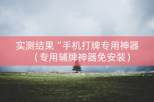 实测结果“手机打牌专用神器（专用辅牌神器免安装）