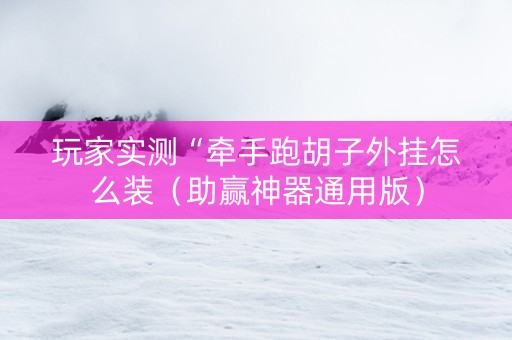 玩家实测“牵手跑胡子外挂怎么装（助赢神器通用版）