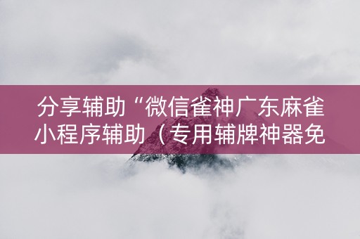 分享辅助“微信雀神广东麻雀小程序辅助（专用辅牌神器免安装）